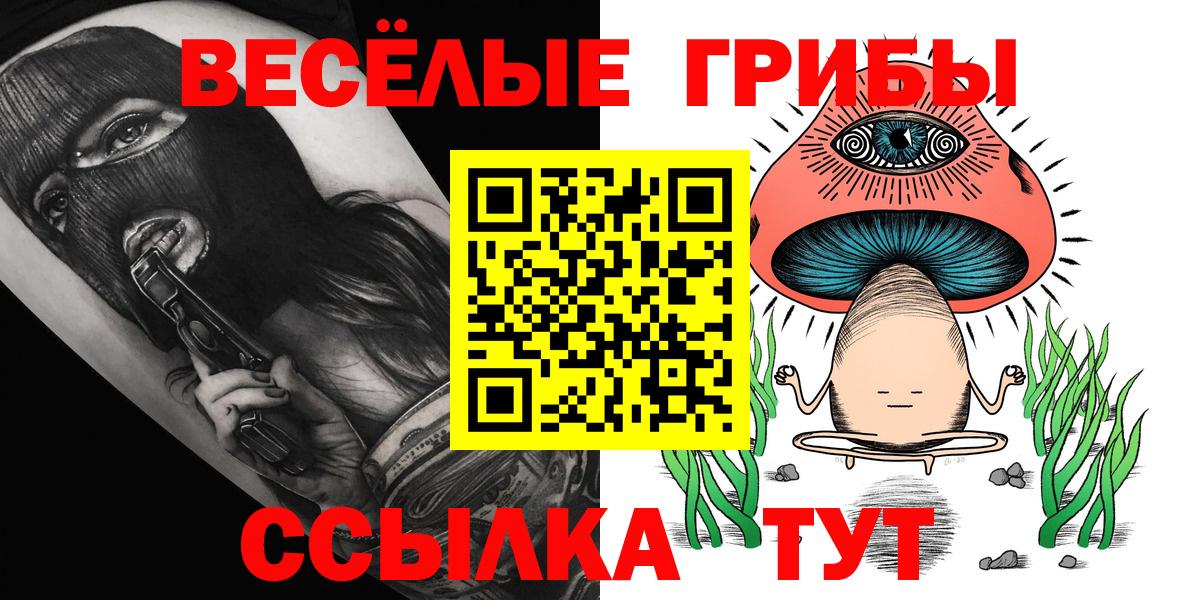 Псилоцибиновые грибы Psilocybine cubensis Гусиноозёрск