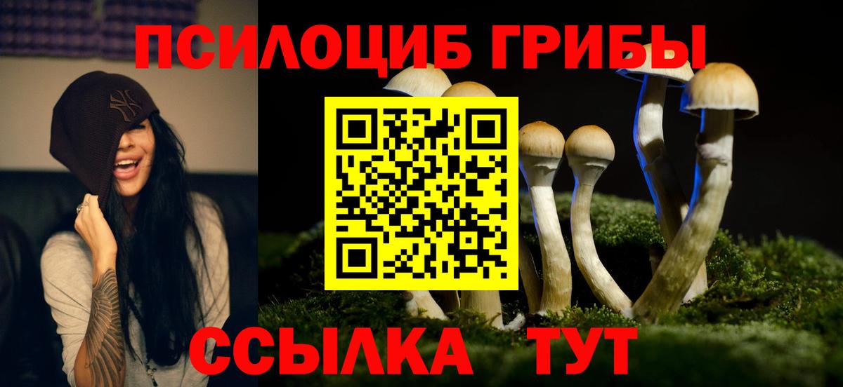 Гусиноозёрск  Псилоцибиновые грибы GOLDEN TEACHER  Вход с VPN 