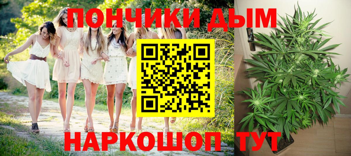 Шишки марихуана Bruce Banner Гусиноозёрск