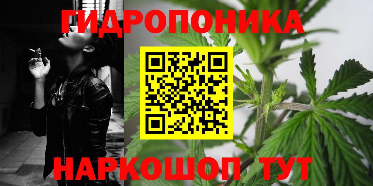 Шишки марихуана Amnesia  МАРИХУАНА OG Kush  Конопля план  Гусиноозёрск  Вход с VPN  Конопля LSD WEED 